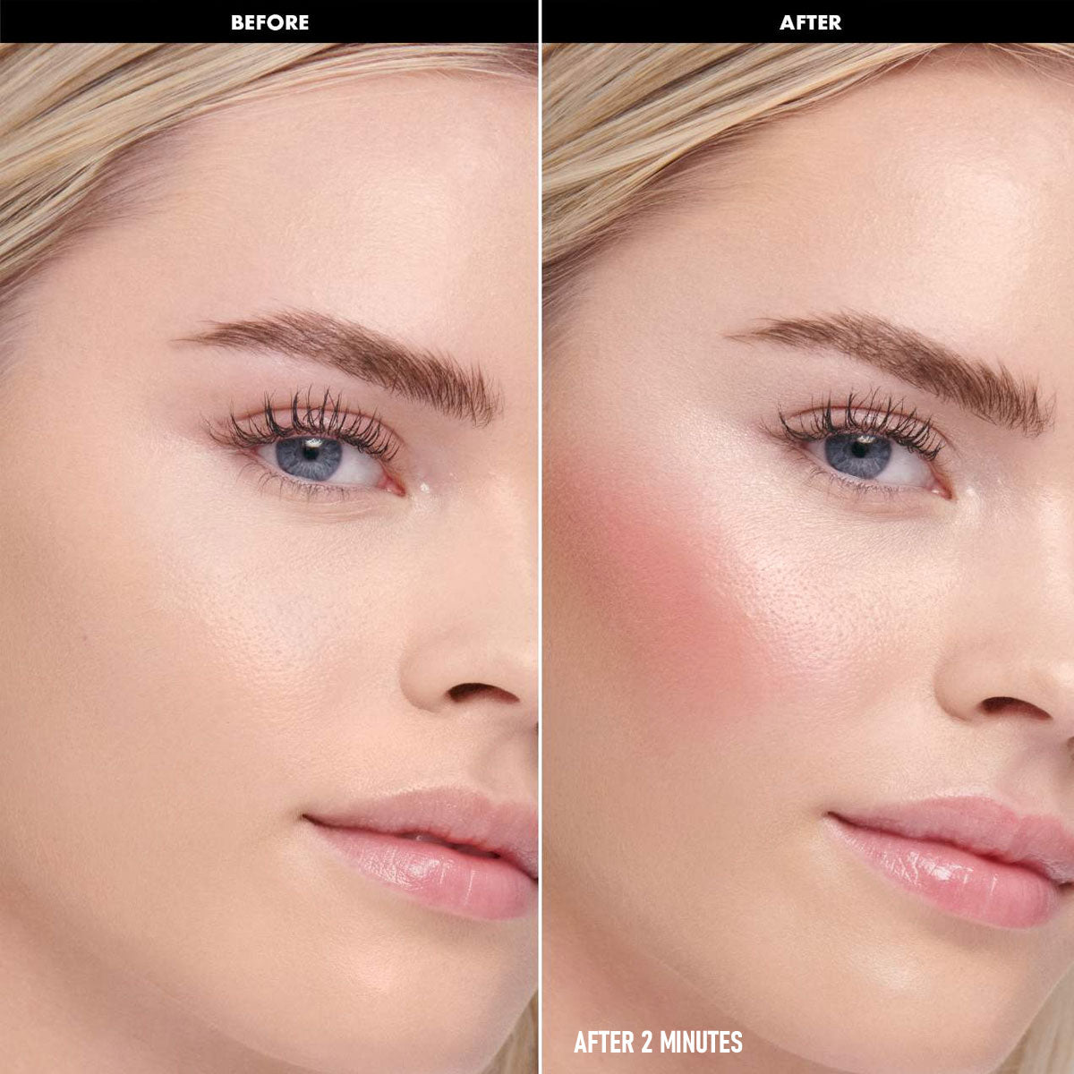 VELOUR Gloss Visage Blush